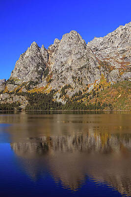 Wall Art featuring the photograph Jenny Lake Reflections Autumn Morning by Dan Sproul
