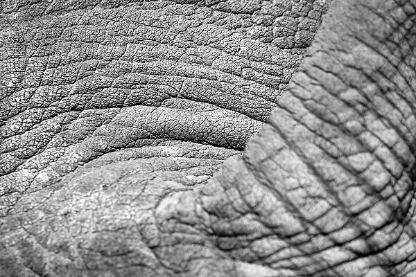 Nature Photograph - Jerico's Landscape by American Landscapes