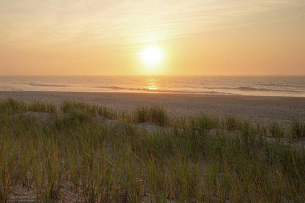 Summer Wall Art featuring the photograph Jersey Shore Beach Dunes And Grass by Matthew DeGrushe