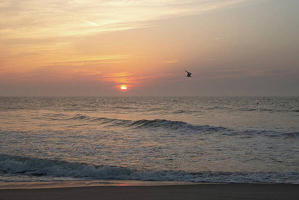 Summer Wall Art featuring the photograph Jersey Shore Beach Morning by Matthew DeGrushe