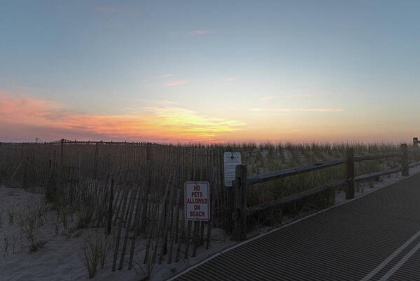 Summer Wall Art featuring the photograph Jersey Shore Summer Sunrise Over The Dunes by Matthew DeGrushe