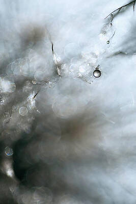 Abstract Photograph - Jewel by Ursula Abresch