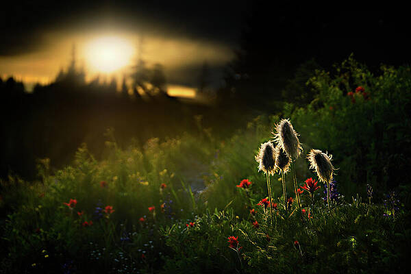 Summer Wall Art featuring the photograph John, Paul, George And Ringo by Ursula Abresch