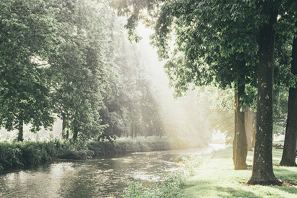 Light Wall Art featuring the photograph Jordan Creek Morning Light by Jason Fink