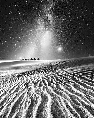 Camel Caravan Under Starry Night Photograph
