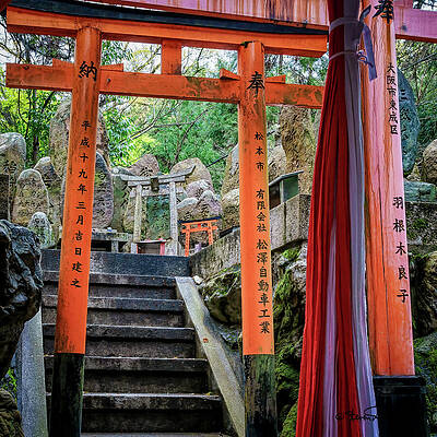 Heritage Wall Art featuring the photograph Journey Through Tamahimesha Shrine by Steven Dos Remedios