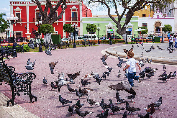 Wall Art featuring the photograph Joy And Fun In The Park - Campeche, Mexico by Tatiana Travelways