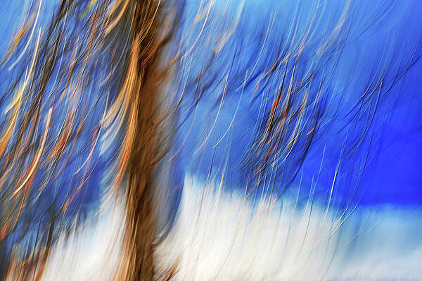 Sky Wall Art featuring the photograph Joyful Wonder by Ursula Abresch