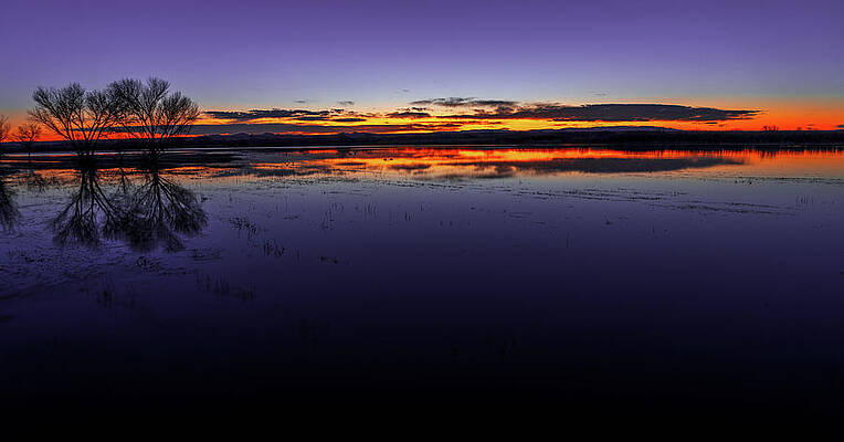 Wall Art featuring the photograph July 2020 Bosque Del Apache Sunrise by Alain Zarinelli
