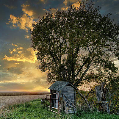 Nature Photograph - July 2024 Prairie Outhouse by Alain Zarinelli