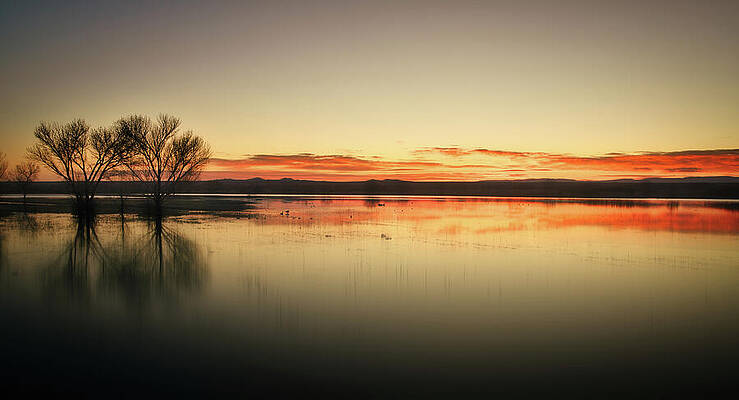 Nature Photograph - July 2025 Bosque Del Apache Sunrise 2025 Reinterpretation by Alain Zarinelli