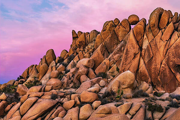 Sunset Photograph - Jumbo Rocks Marble In Pink Sunset - Joshua Tree National Park, California by Abbie Warnock