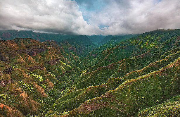 Paradise Photograph - Jungle Canyon - Kauai, Hawaii by Abbie Warnock