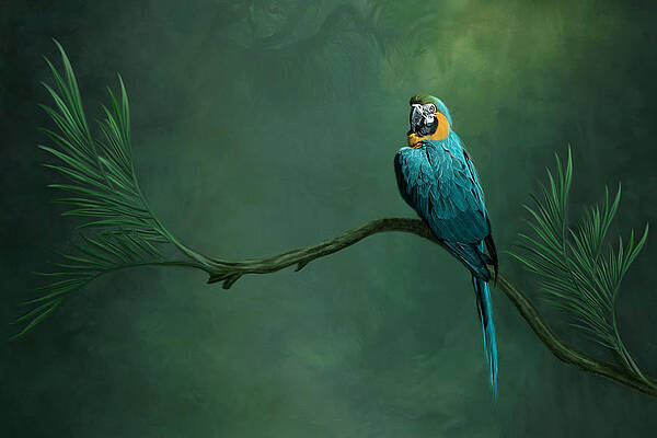 Wall Art featuring the mixed media Jungle Gem by Maryanne Keeling