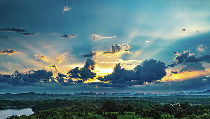 Sunrise Wall Art featuring the photograph Jungle Lagoon Sunrise Mazatlan Mexico by Tommy Farnsworth