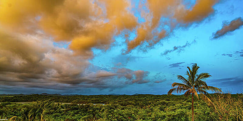 Sunset Wall Art featuring the photograph Jungle Lagoon Sunset Mazatlan Mexico by Tommy Farnsworth