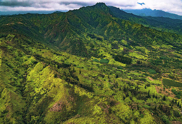 Paradise Photograph - Jungle Mountaintops, Kauai, Hawaii by Abbie Warnock