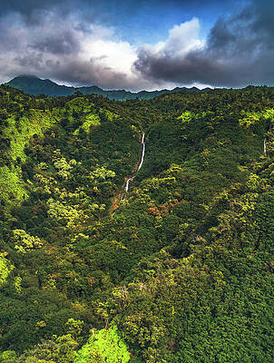Paradise Photograph - Jungle Waterfall - Kauai, Hawaii by Abbie Warnock
