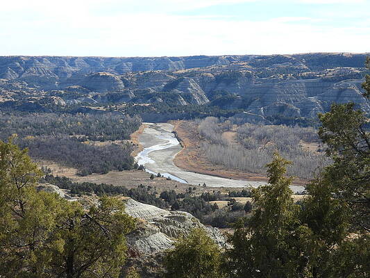 Theodore Roosevelt National Park Photograph - Juniper Framed River View by Amanda R Wright