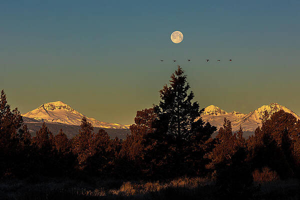 Bend Photograph - Juniper Moon by Tim Lyden