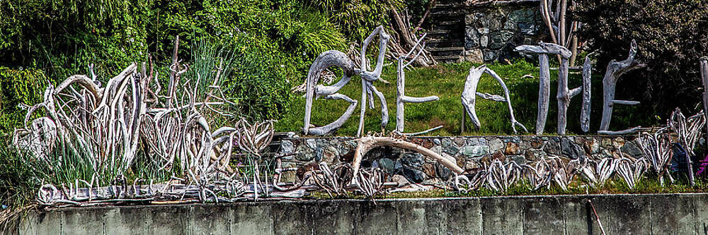 Photograph - Just Breathe Victoria Canada by Tommy Farnsworth