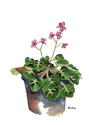 Just Perfect by Catherine Bede