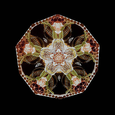 Geometric Wall Art featuring the photograph Kaleidoscope_1 by Mark Triplett