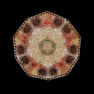 Geometric Wall Art featuring the photograph Kaleidoscope_10 by Mark Triplett