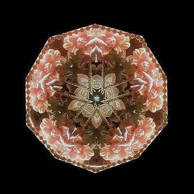 Geometric Wall Art featuring the photograph Kaleidoscope_12 by Mark Triplett