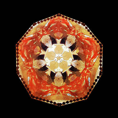 Geometric Wall Art featuring the photograph Kaleidoscope_14 by Mark Triplett