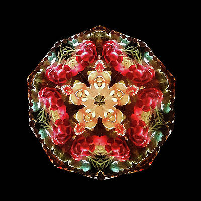 Geometric Wall Art featuring the photograph Kaleidoscope_15 by Mark Triplett