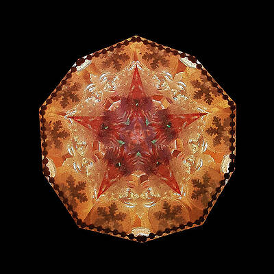 Geometric Wall Art featuring the photograph Kaleidoscope_16 by Mark Triplett