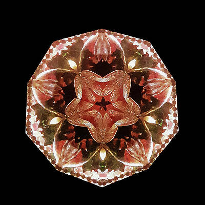 Geometric Wall Art featuring the photograph Kaleidoscope_18 by Mark Triplett