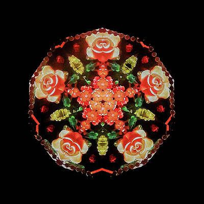 Geometric Wall Art featuring the photograph Kaleidoscope_20 by Mark Triplett