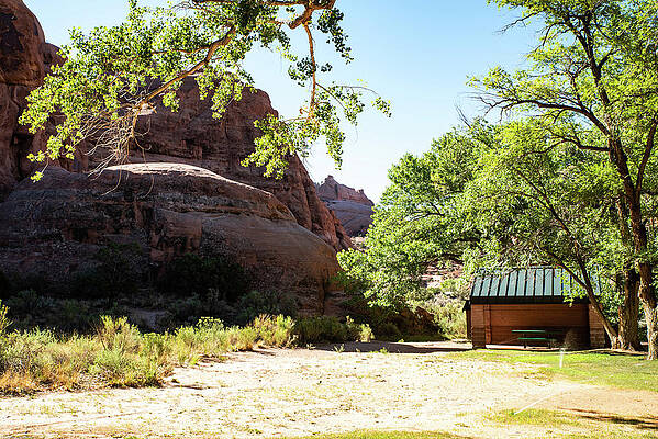 Spring Photograph - Kane Springs Picnic Table by Tom Cochran