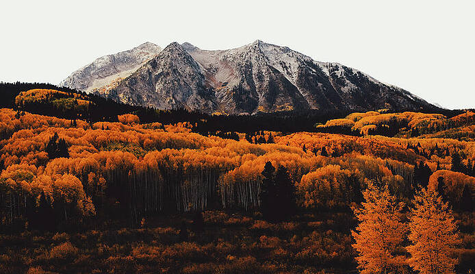 Wall Art featuring the photograph Kebler Pass Autumn Foliage East Beckwith Mountain by Dan Sproul