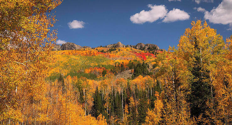 Wall Art featuring the photograph Kebler Pass Colors Of Autumn by Dan Sproul