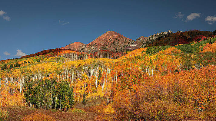 Wall Art featuring the photograph Kebler Pass Landscape In Fall by Dan Sproul
