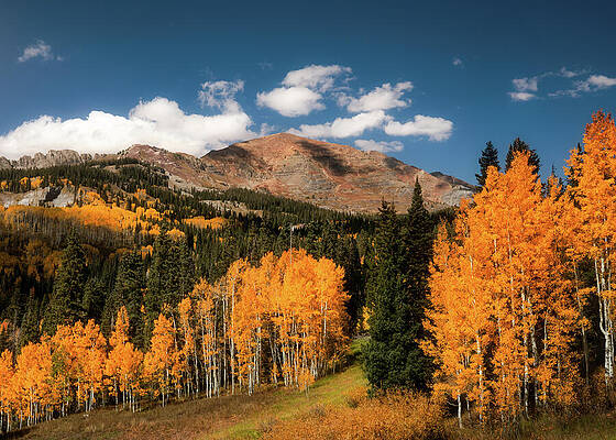 Autumn Trees in a Mountain Landscape Wall Art