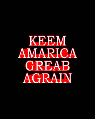 No Wall Art featuring the digital art Keem Amarica Greab Agrain Misspelled Anti Trump by Flippin Sweet Gear