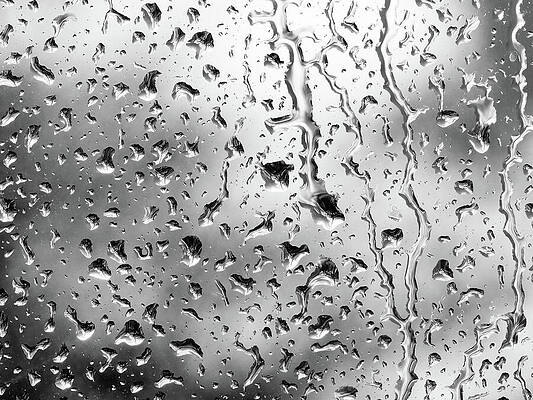 Wall Art featuring the photograph Rain Droppings by Joe Schofield