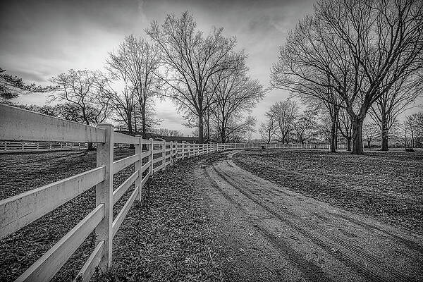 Wall Art featuring the photograph Keep Out by Penny Polakoff