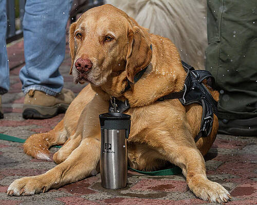 Oregon Photograph - Keeping Hydrated by Tim Lyden
