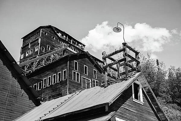 Wall Art featuring the photograph Kennicott Lamp BW by Harry Banks