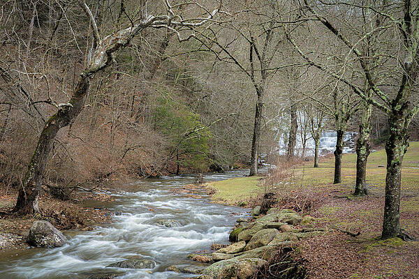 Winter Wall Art featuring the photograph Kent Falls Brook by Dave King
