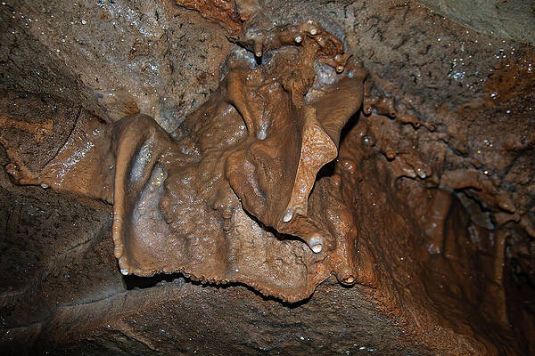 Wall Art featuring the photograph Kentucky Cavern 09 by Flees Photos