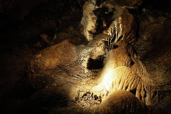 Wall Art featuring the photograph Kentucky Cavern 12 by Flees Photos