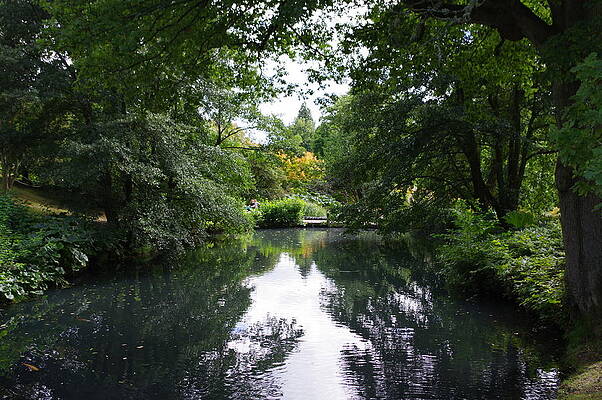 Nature Photograph - Kew At Wakehurst by Murray Croft
