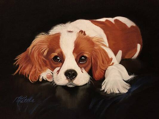 Wall Art featuring the pastel King Charles by Marlene Little