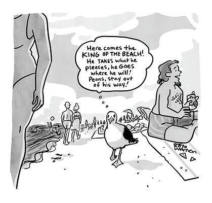 Seagull Wall Art featuring the drawing King Of The Beach by Sofia Warren